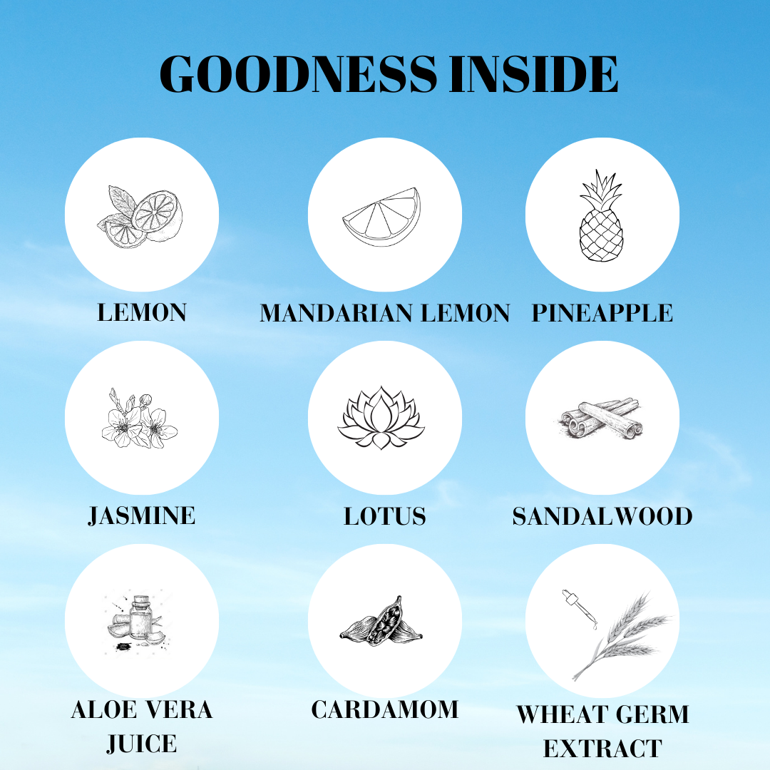 Beach Premium Perfume For Women-100 ML || BFProfessionals