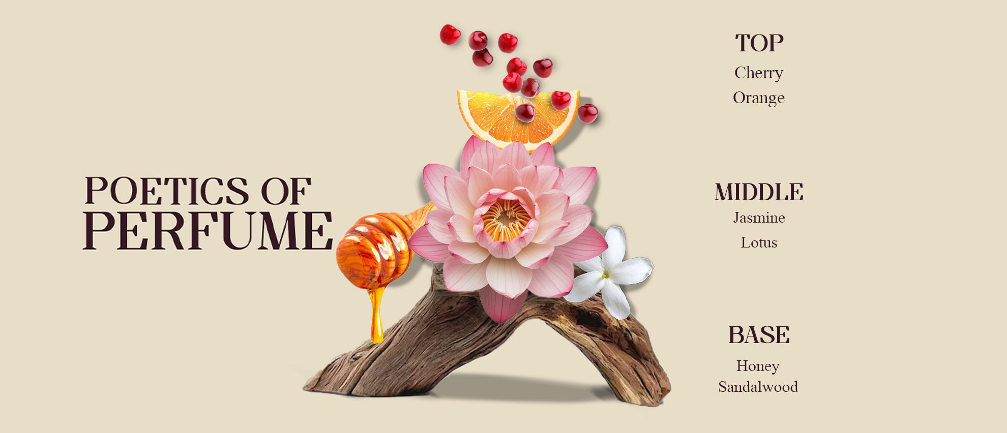 Beach|Eau de Parfum Women|100ml