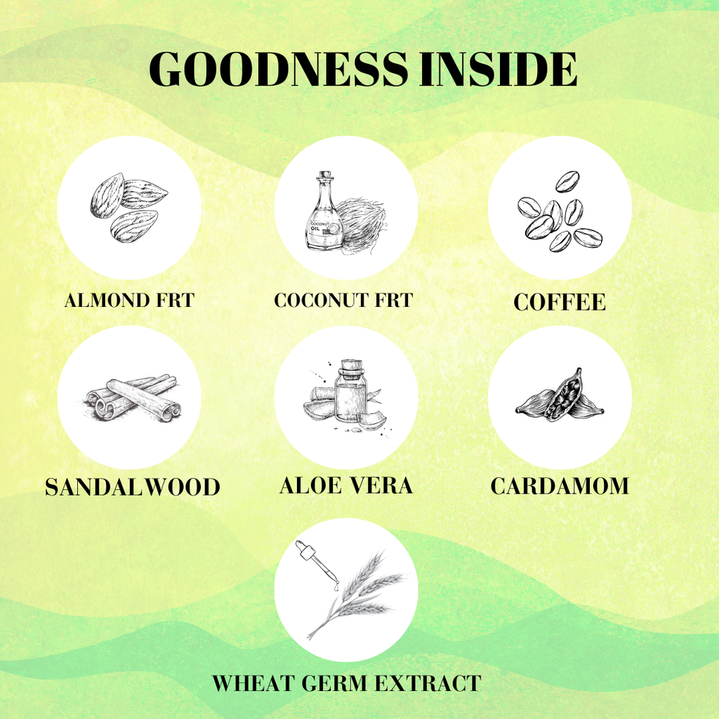 Muse Premium Perfume For Women - 100ML || BFProfessionals