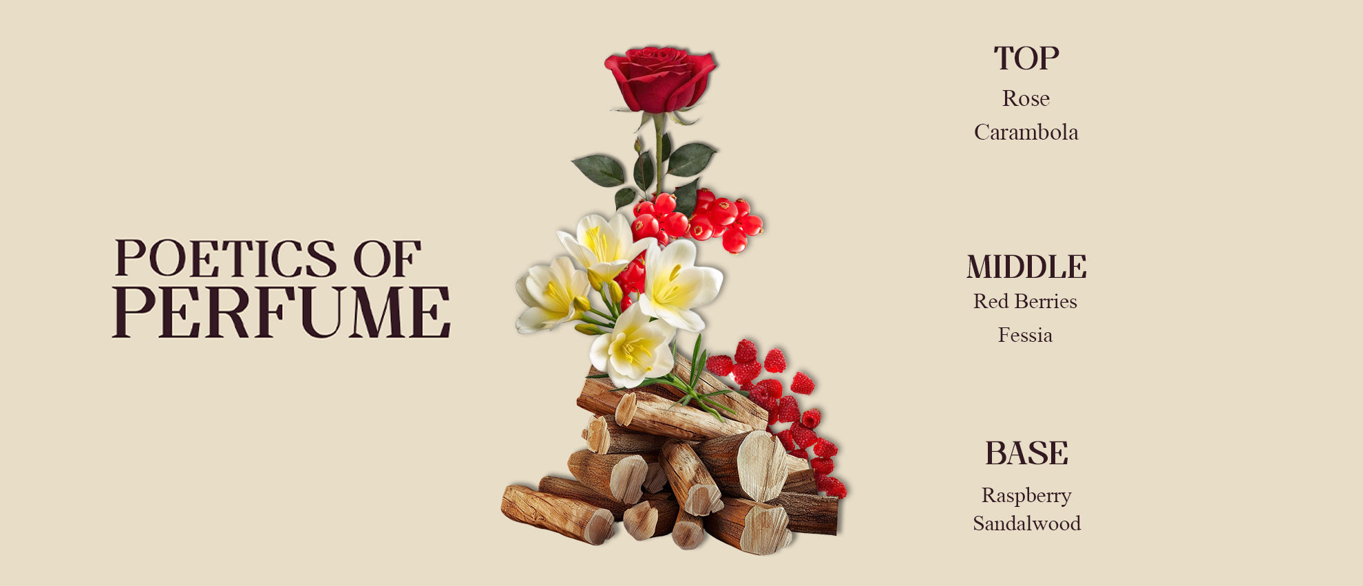 Mystic|Eau de Parfum Men|100ml