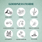 Noir Premium Perfume For Men- 100ML || BFProfessionals