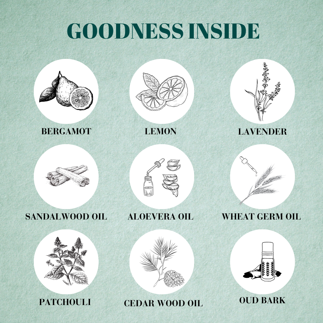 Noir Premium Perfume For Men- 100ML || BFProfessionals