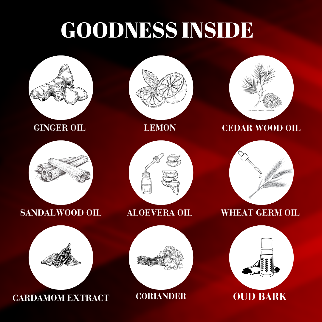 Wild Premium Perfume For Men-100ML || BFProfessionals