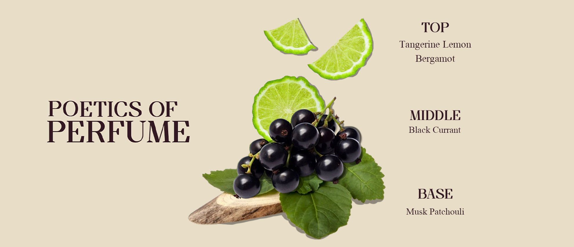 Noir|Eau de Parfum Men|20ml